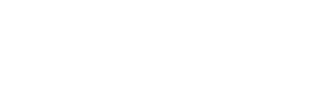 WPS Abstract Logo